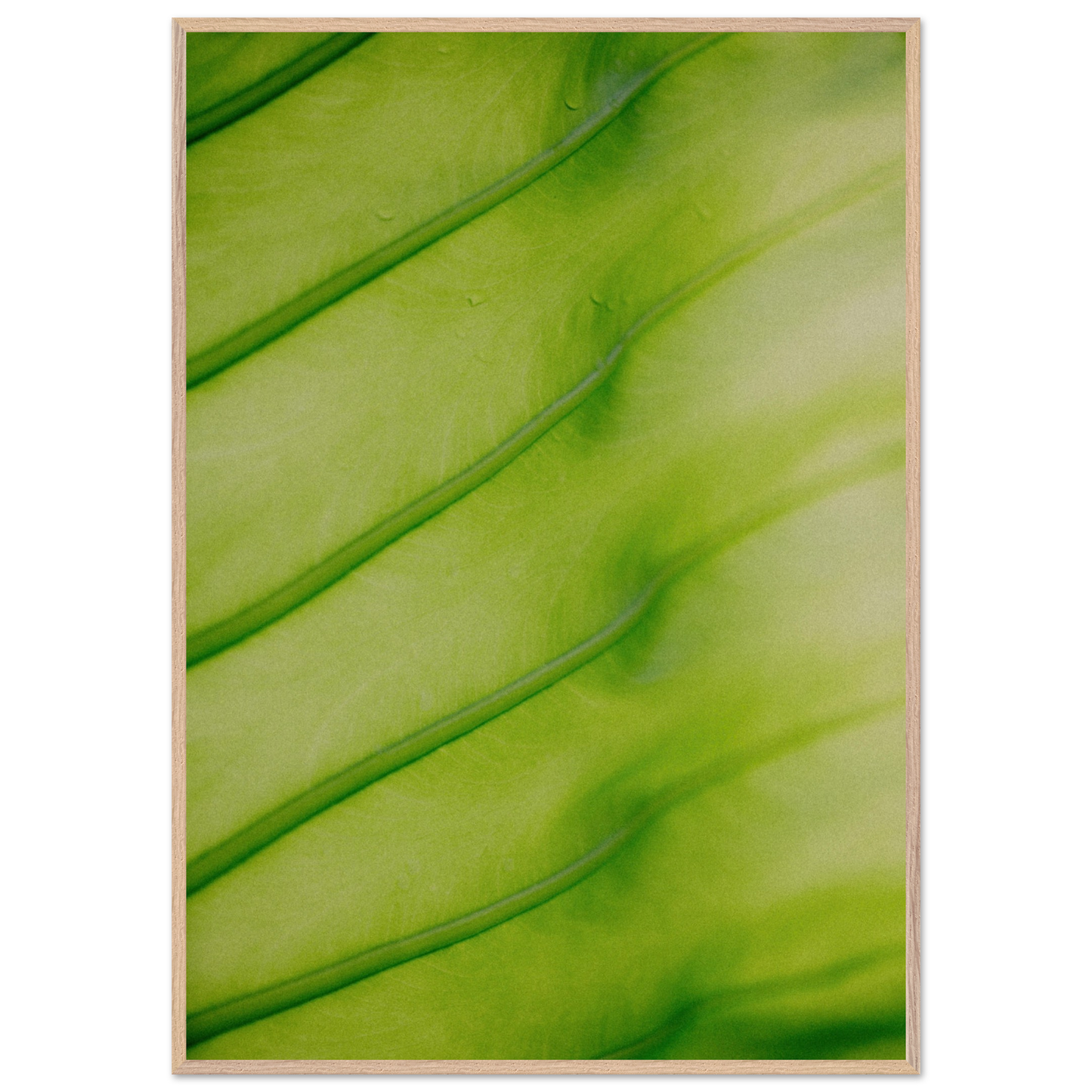 2f184e39-79e1-475c-90d3-61d6ea9019a3