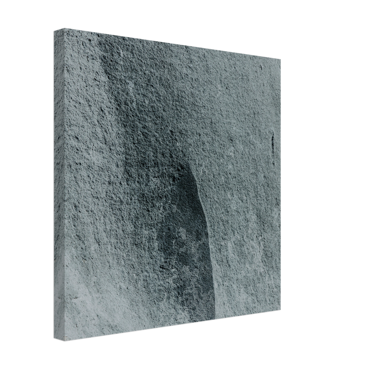 8d56178b-cb30-4341-8ba8-2989386c7ed5