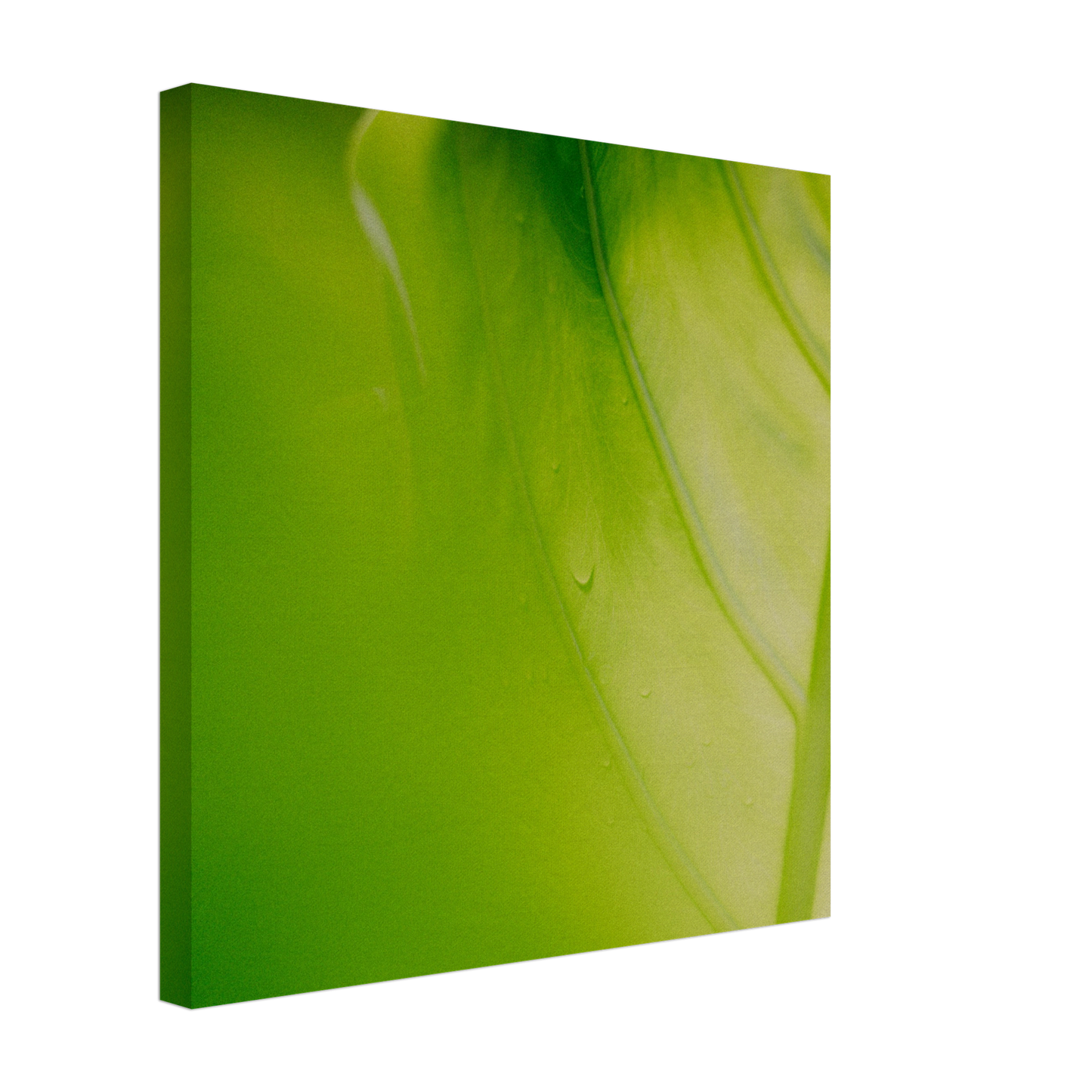 a4c425f1-d354-4f30-b0ac-727ef44f4cb0