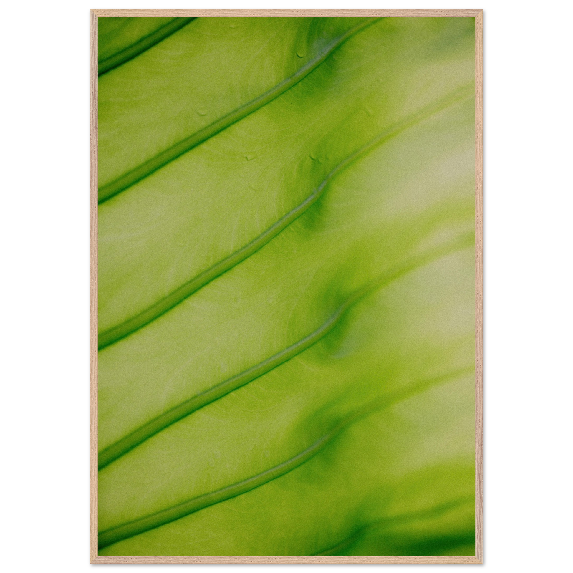 2f184e39-79e1-475c-90d3-61d6ea9019a3