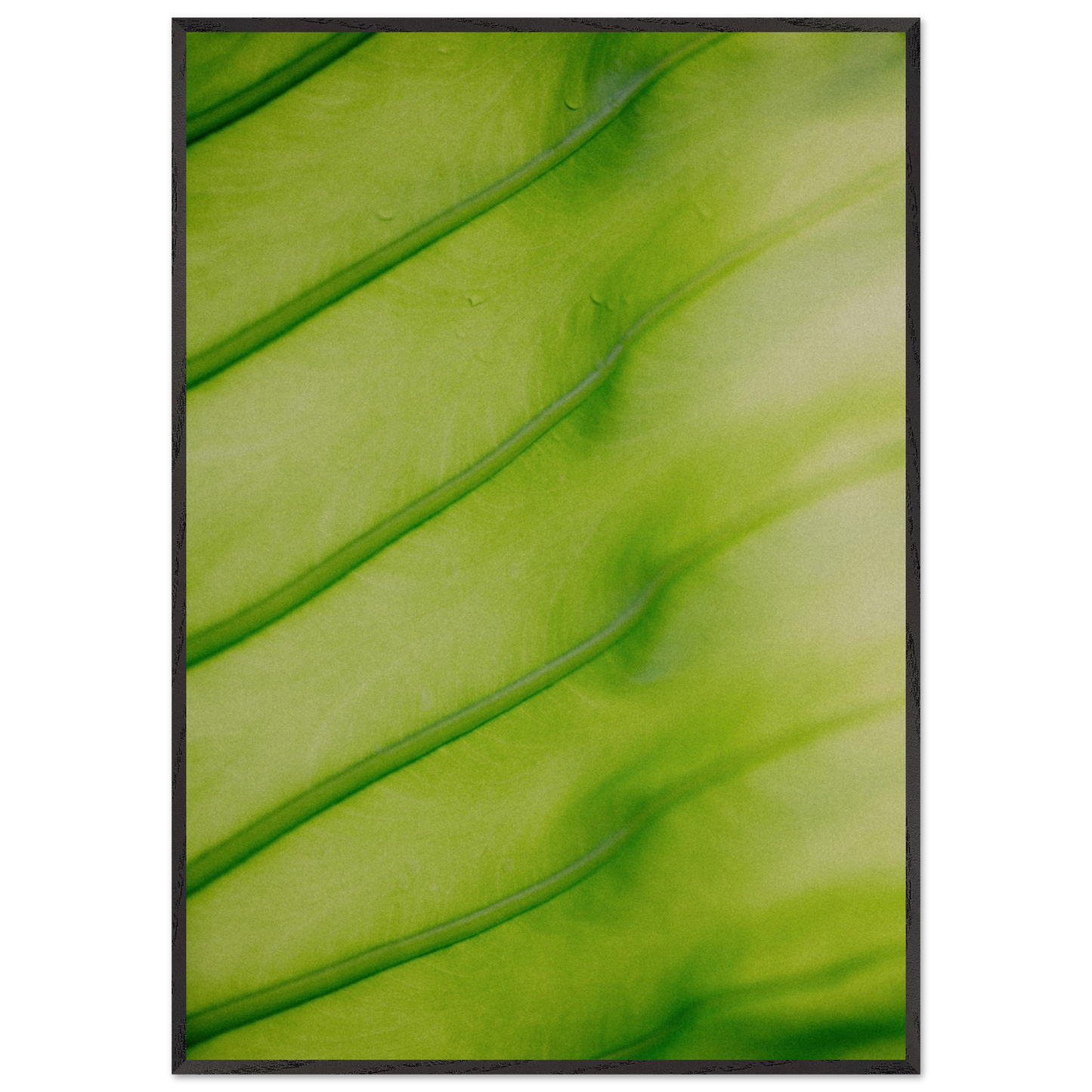 2f1b3602-48c9-4986-8778-29dc66c40994