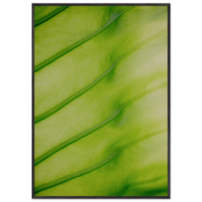 2f1b3602-48c9-4986-8778-29dc66c40994