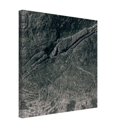 35426c5b-512e-4a69-bdda-1b393555de26