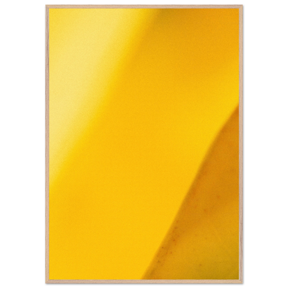 51e4cfff-68af-4e42-8526-2c2f1b78055a