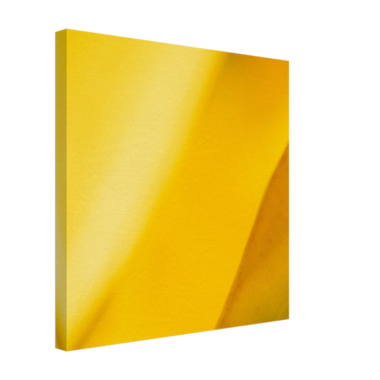 6b96f845-dc52-4788-979a-5804588f4402
