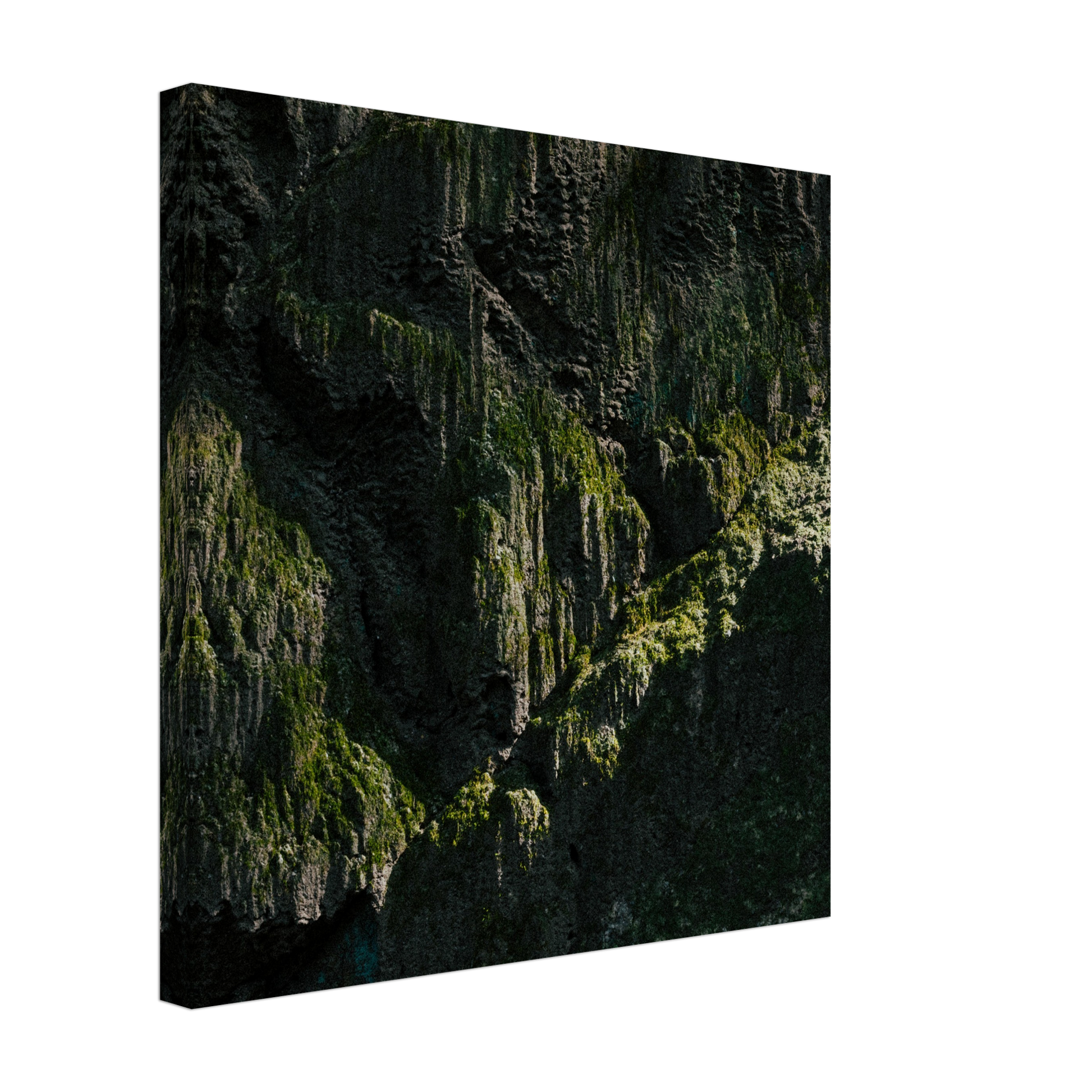 8bd24f92-e40d-4eae-a798-9feefbcf6f77