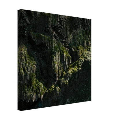 8bd24f92-e40d-4eae-a798-9feefbcf6f77