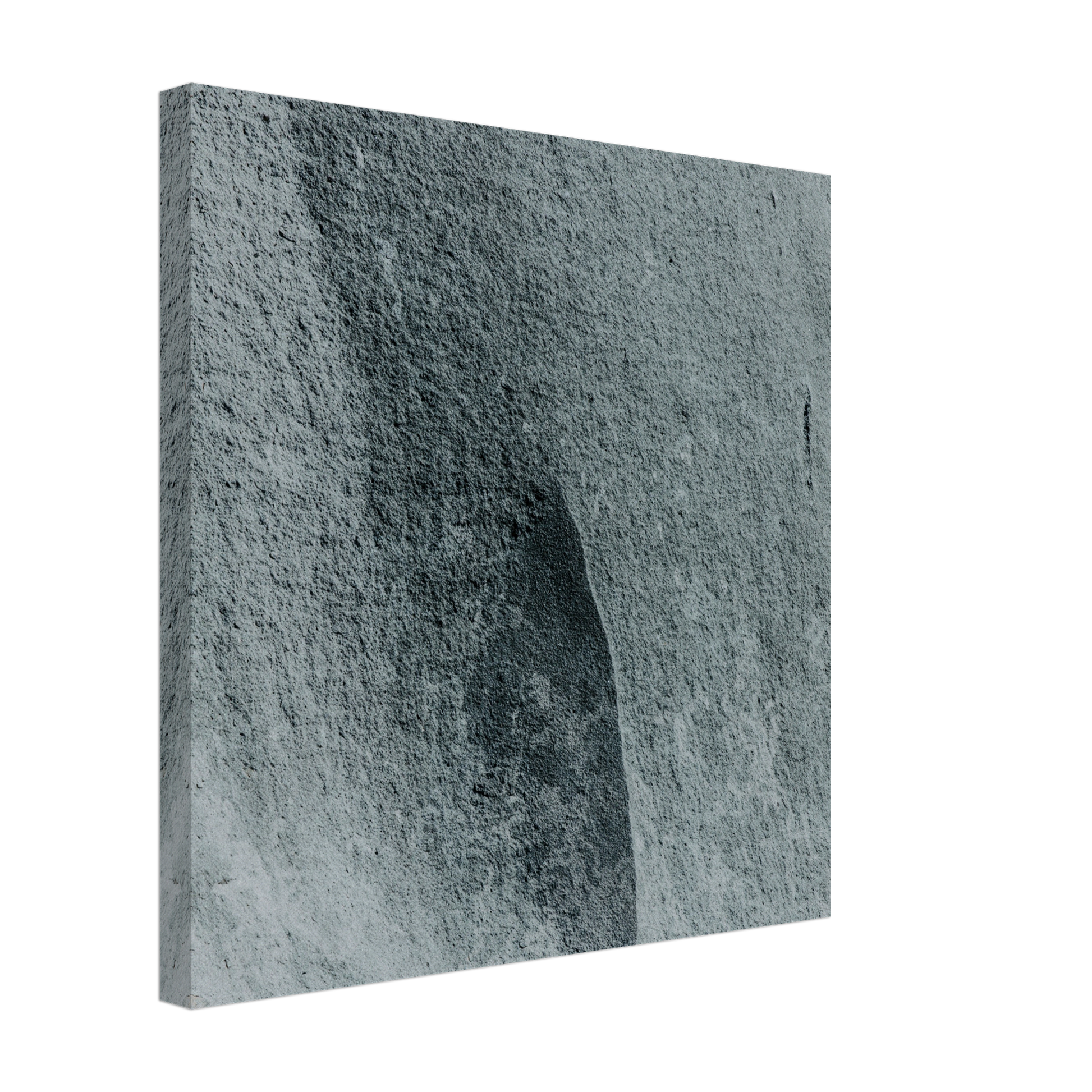 8d56178b-cb30-4341-8ba8-2989386c7ed5