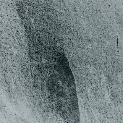 世界自然遺産 奄美大島の岩肌 (Amami Ōshima, Japan)