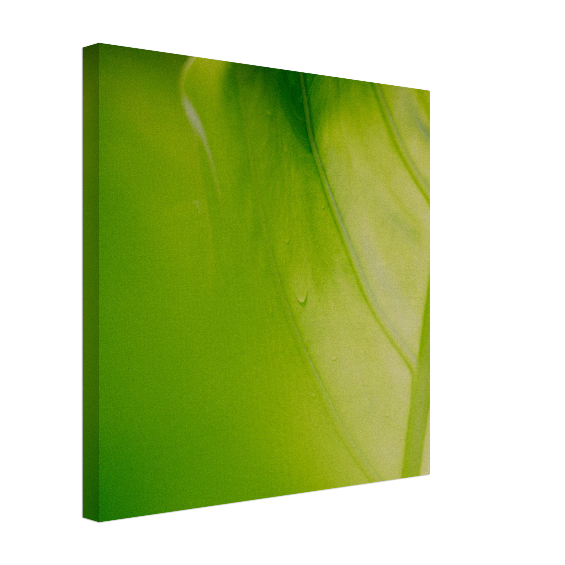 a4c425f1-d354-4f30-b0ac-727ef44f4cb0
