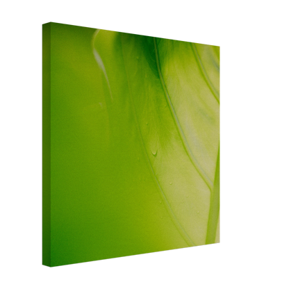 a4c425f1-d354-4f30-b0ac-727ef44f4cb0
